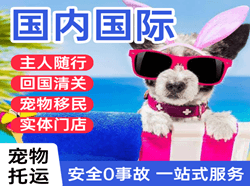 安顺空运国际宠物托运 【国